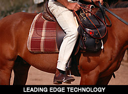 Horse Riding Technology