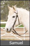 Samuel Grampians Horse Riding Team