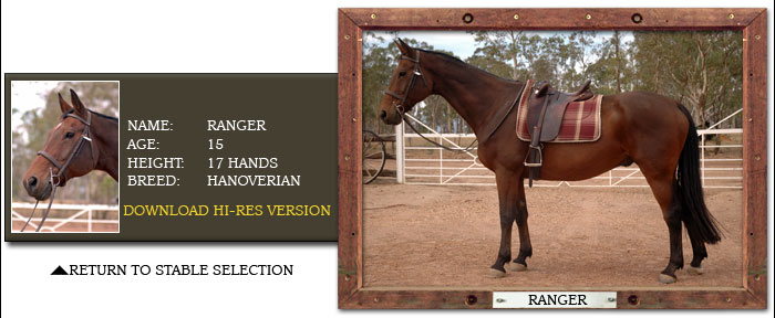 Grampians Horse Riding Ranger Profile Rider