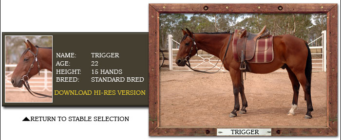 Grampians Horse Riding Trigger Profile Rider