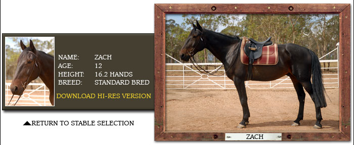 Grampians Horse Riding Zach Profile Rider