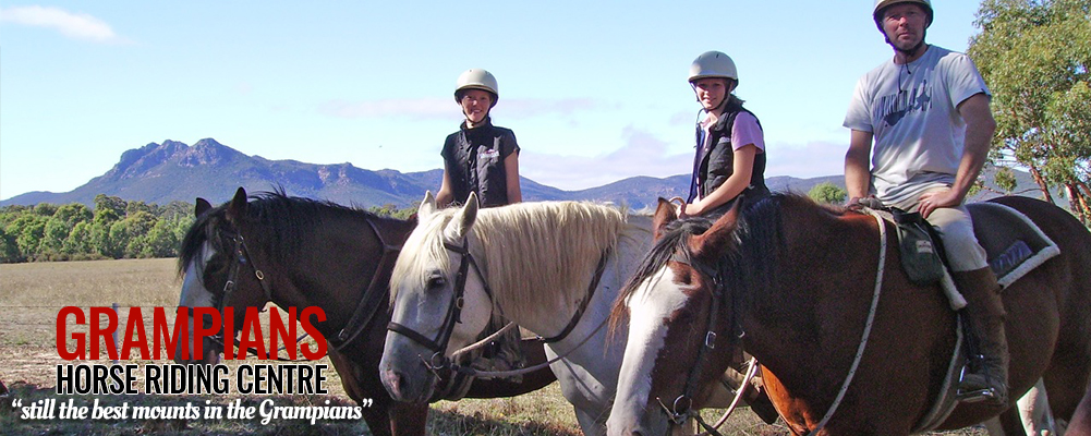 Grampians Horse Riding - Topbar